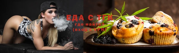 дмт Козельск