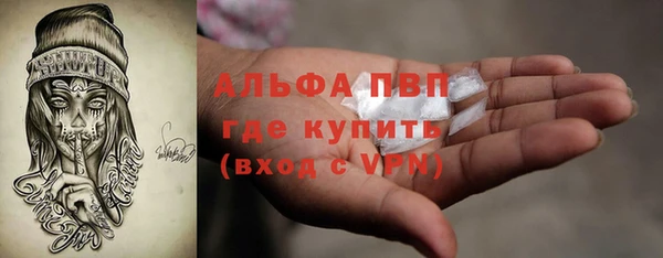 СК Кодинск