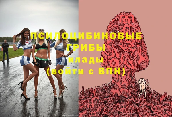 СК Кодинск