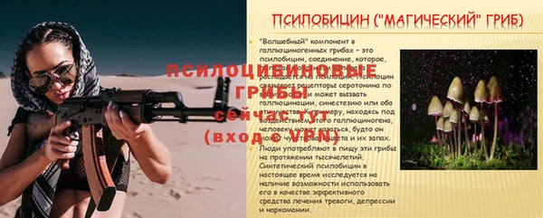 кристаллы Козловка