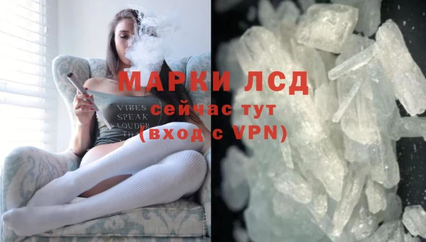 СК Кодинск